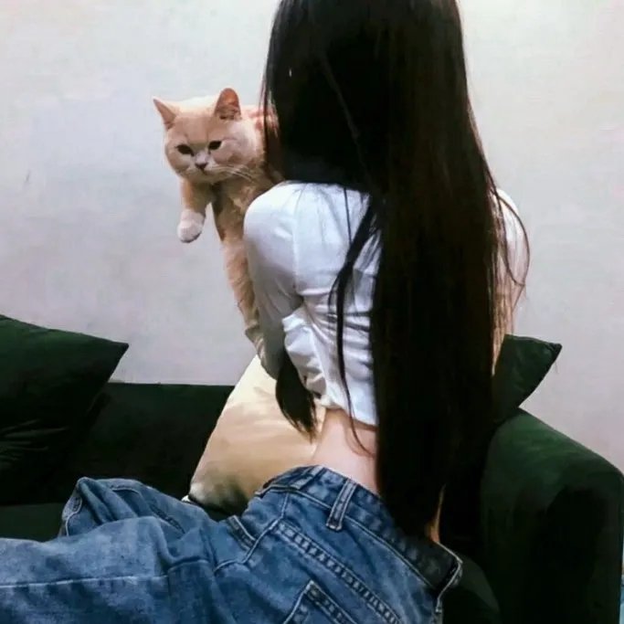 打黑风暴